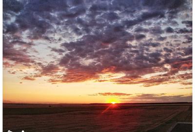 Teren de 1621 mp, în Vasilați - 8