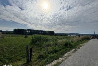 Teren de 7500 mp, în Mihăești - 2