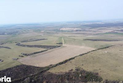 Teren de 268200 mp, în Ardud - 7