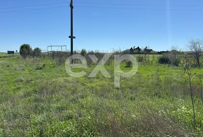 Teren agricol extravilan de 500 mp, în Eforie Sud - 5