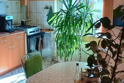 Apartament cu 3 camere decomandat, mobilat în Centrul Civic - 3
