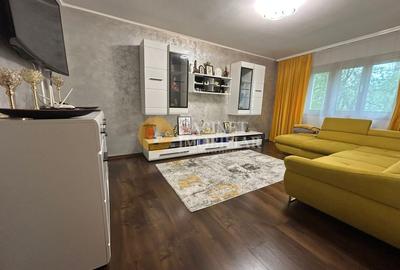 Apartament cu 3 camere, mobilat în Frumoasa