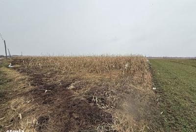 Teren de 7276 mp, în Putna - 3