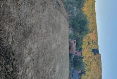 Casă cu 2 camere cu Teren 1142 Mp în Milova - 8