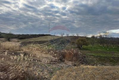 Teren agricol extravilan de 5240 mp, în Berchezoaia - 4