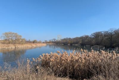 Teren intravilan 1352 mp, Corbeanca,Corbeanca Forest, ideal investitie - 10