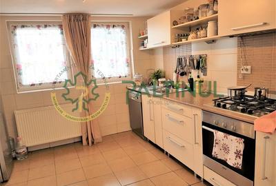 Vila Șelimbăr - 700 mp teren, jacuzzi, semineu, front stradal 30 ml - 9