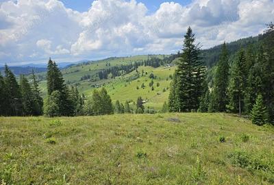 Teren de vanzare in Bucovina Comuna Breaza Zona Paraul Negrei - 3