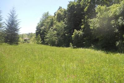 Teren de 10000 mp, în Central - 3