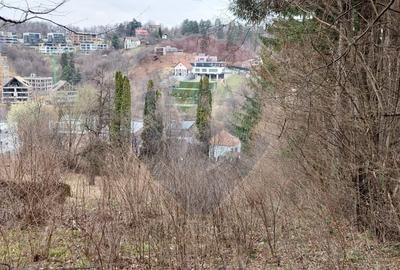 Teren Construcții intravilan de 2710 mp, în Schei - 12