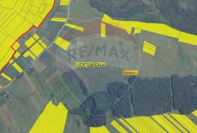 Teren cu parau | 50,000 mp | zona Caianu-Vama | la lizi... - 6
