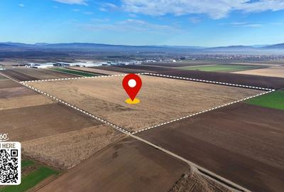 Teren de 324800 mp, în Prejmer - 1