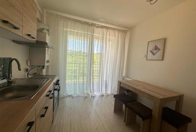 Apartament cu 2 camere decomandat în Vișan - 8