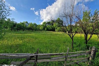 Teren de 4754 mp, în Moțăieni - 4