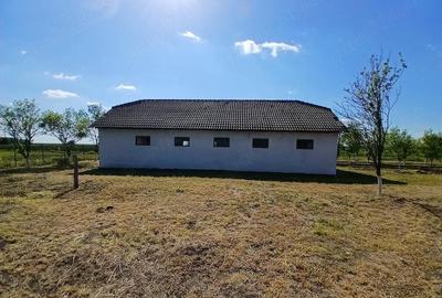 Casă cu 2 camere cu Teren 4038 Mp în Radovan - 8