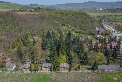 Oportunitate! Teren intravilan, 25.098mp, fostul Complex Turistic Baile Baita - 2