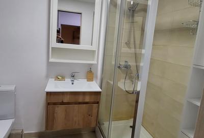 Inchiriere garsoniera decomandata, Bloc Mixt, Vitan Mall - 6