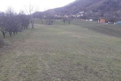 Spațiu comercial, în Vlădești - 5