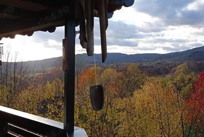 Casă în Ghioșești - 10