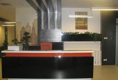 Birou, de 160 mp, în Romană - 14