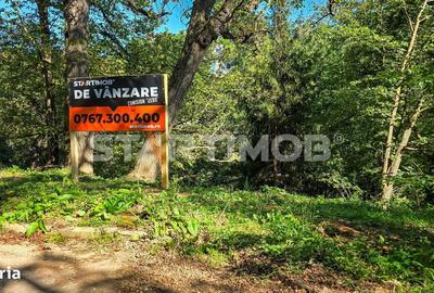 Spațiu comercial, în Schei - 14