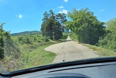 Teren de 11000 mp, în Măderat - 1