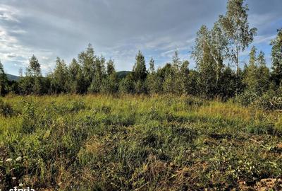 Teren de 3685 mp, în Șinca - 3