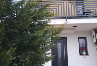 Duplex cu 4 camere cu Canalizare în Dumbrăvița - 12