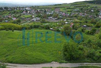 Teren de vanzare, Com. Racova, Str. Bradului, Bacau - 6