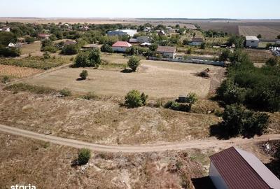 Teren de 1000 mp, în Sinești - 6