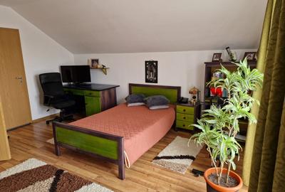 Mosnita Veche - Casa individuala cu 3 dormitoare si 2 garaje - 19