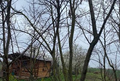 Teren de 5000 mp, în Lazuri - 7