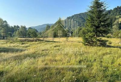 Teren de 7040 mp, în Sătic - 10
