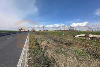 Teren Construcții extravilan de 18000 mp, în Valu lui Traian - 5