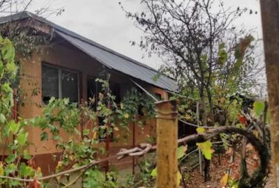 Casă cu 4 camere cu Teren 951 Mp în Saraiu - 9