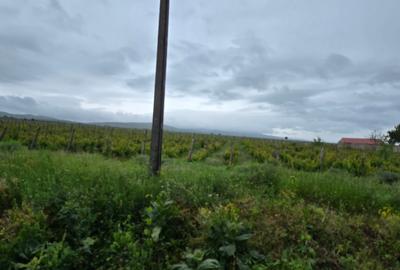 Casa si teren intravilan 4200 mp  Cotesti - 17