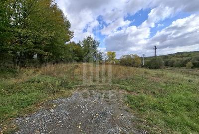 Teren intravilan cu Puz si priveliște deosebită, spre Cetatea Cisnădioara - 12