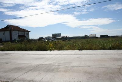 Spațiu comercial, în Cârcea - 8