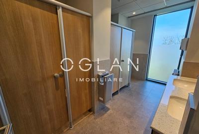 Spatii de birouri PREMIUM (nZEB) 757mp, ZONA CENTRALA - 12