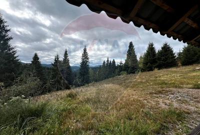 Casă individuală cu 4 camere cu Garaj în Beliș - 26