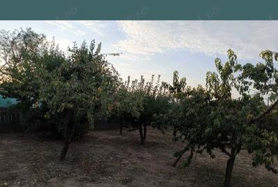 Casă cu 3 camere în Segarcea-Deal