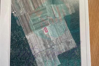 Vanzare teren constructie casa CIOFLICENI - SNAGOV - 2