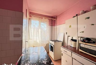 Apartament cu 2 camere semidecomandat în Iosefin - 3