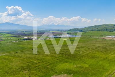 Teren agricol extravilan de 4700 mp, în Codlea - 3
