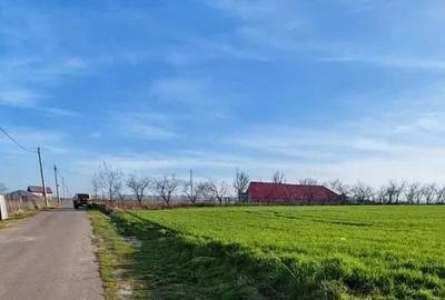 Teren de 10000 mp, în Comana - 1