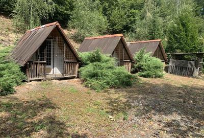 Casă cu 3 camere în Mădrigești - 4