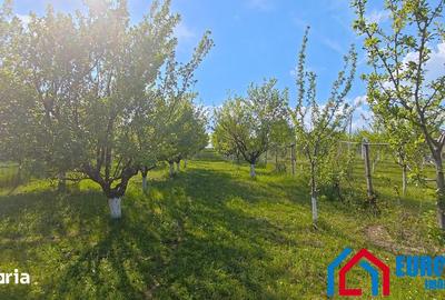 Teren de 1000 mp, în Roșia - 2