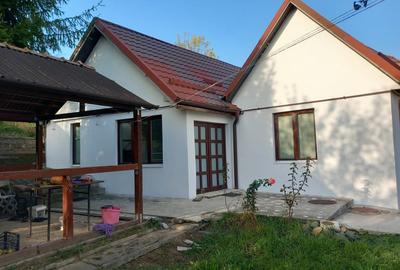 Casă cu 3 camere cu Teren 2300 Mp în Tudor Vladimirescu - 3