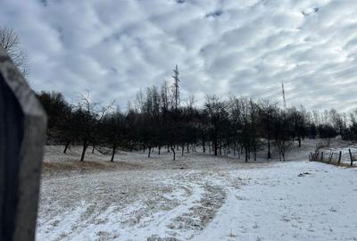 Teren de 3400 mp, în Petros - 3