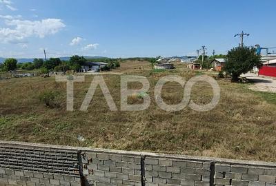 Casa cu curte si gradina de vanzare in Sebes judetul Alba - 9